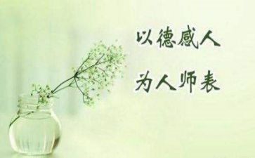 师德个人工作总结模板8篇