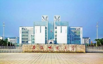 支教师范生个人总结6篇