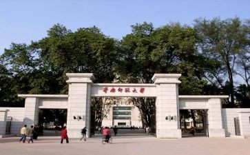 述职报告幼师范文6篇