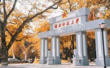 师范生实习个人总结范文8篇