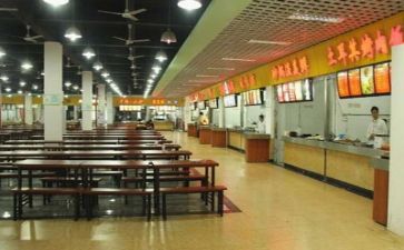 食堂的调查报告6篇