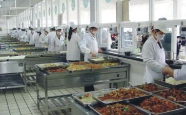 食堂的调查报告优质7篇