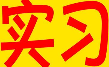 实习个人优秀事迹5篇