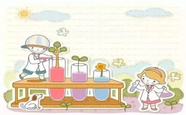 作文小实验作文通用5篇