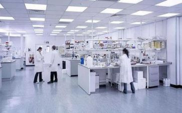 实验作文实验作文参考5篇