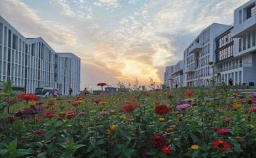 市营专业自我鉴定通用5篇