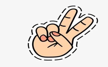 手的启示读后感5篇