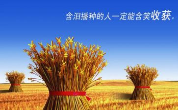 生产实习收获和心得体会7篇