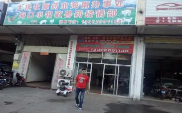 兽药店实习自我鉴定6篇
