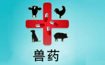 兽药房个人述职报告参考7篇