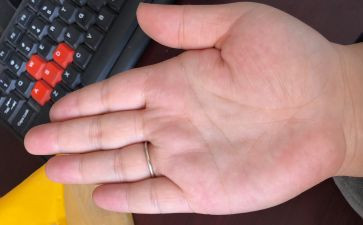 中班手掌画教案5篇