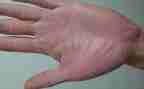 手掌画教案最新6篇