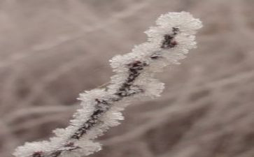 露和霜教学反思模板5篇