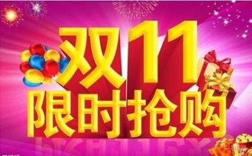 双11工作总结模板参考5篇