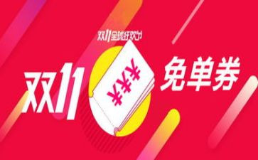 双11工作总结模板模板5篇