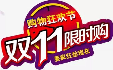 双11客服工作总结最新5篇