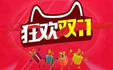双11工作总结模板精选5篇