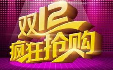 关于双12的作文最新5篇