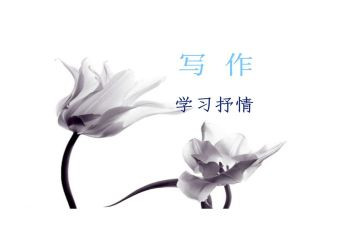 爱国抒情演讲稿8篇