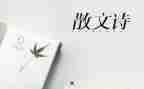 抒情作文600字范文7篇