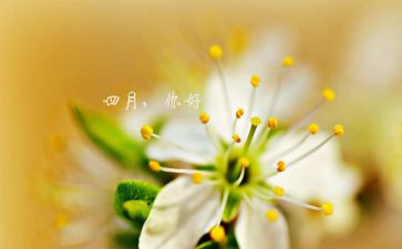 四月的工作计划8篇
