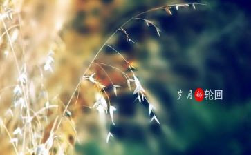 岁月青春的作文7篇