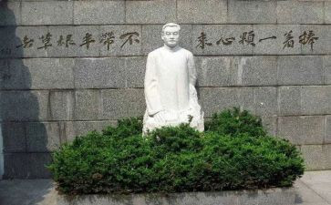 陶行知的痴读后感模板6篇