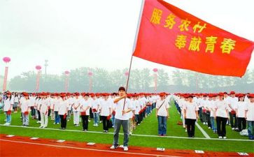 特岗教师年度工作个人总结5篇