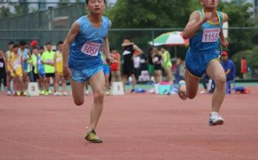 小学田径运动会活动方案6篇