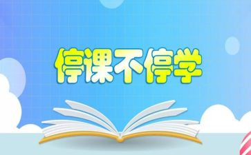 学生对停课不停学心得体会6篇
