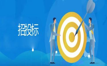 投标办工作总结7篇