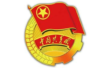 农村团支部书记培训心得体会5篇