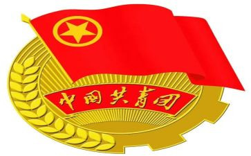 团支部内个人年度总结精选8篇