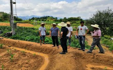 土管员述职报告7篇