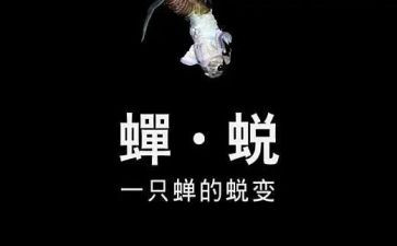 蜕变类作文参考8篇