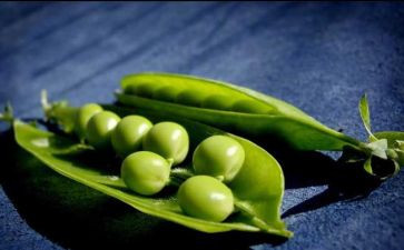豌豆糕教案6篇