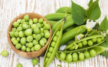 摘豌豆心得体会5篇
