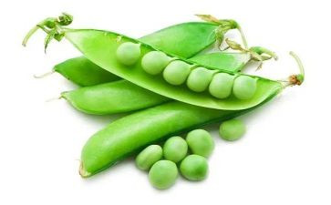豌豆上的公主读后感5篇