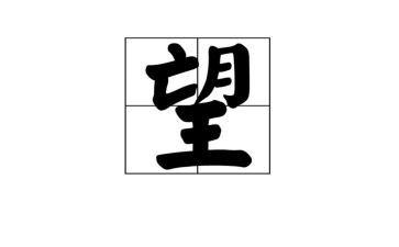 看守望者心得体会6篇