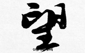 以我的愿望的演讲稿8篇