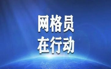 网格年度工作总结6篇