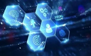 网络员学习心得体会模板7篇