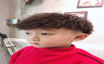 骆驼王子的读后感6篇