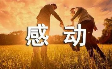 作文感动800字精选7篇