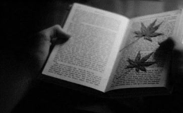 多文本阅读的心得体会5篇