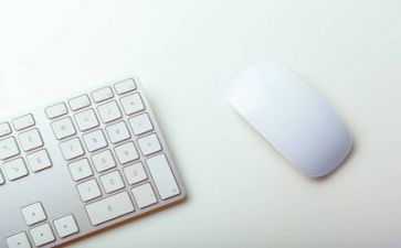 文员月工作总结和计划6篇