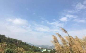 作文《我的一天》优秀作文精选5篇