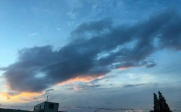 485的我的一天作文7篇