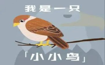 小鸟小鸟的音乐教案优质5篇