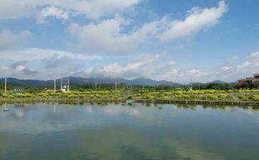 我在变作文300字初中作文模板7篇